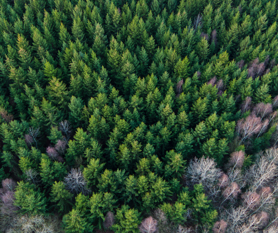 Natural Organic Vegan Clothing & Underwear | Boody Sustainable Eco Clothing